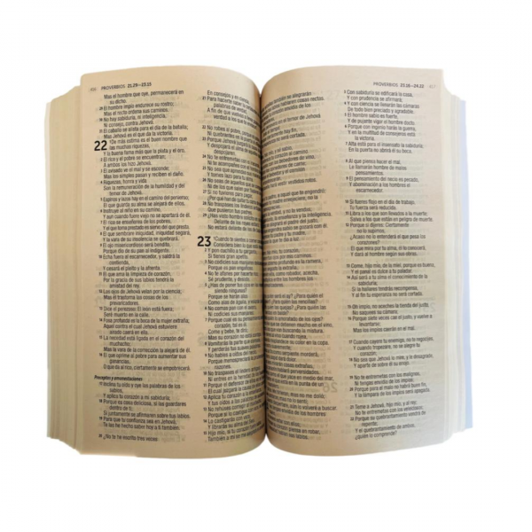 Biblia 500 Razones - Image 3