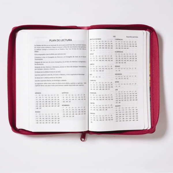 Biblia Tierra Santa - Image 4