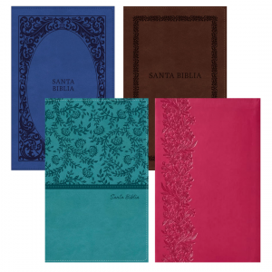 Biblia Tierra Santa