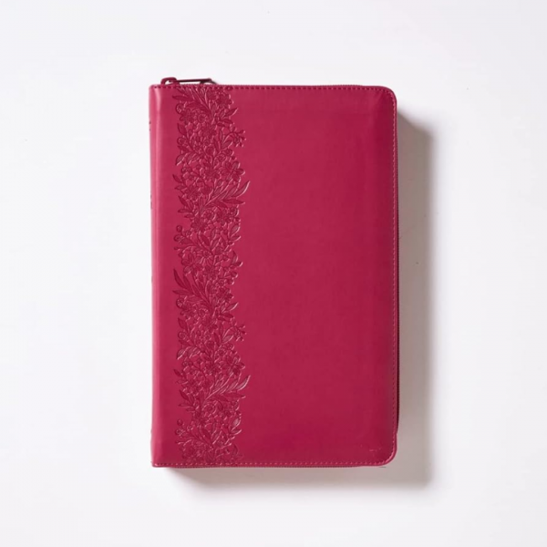 Biblia Tierra Santa - Image 3