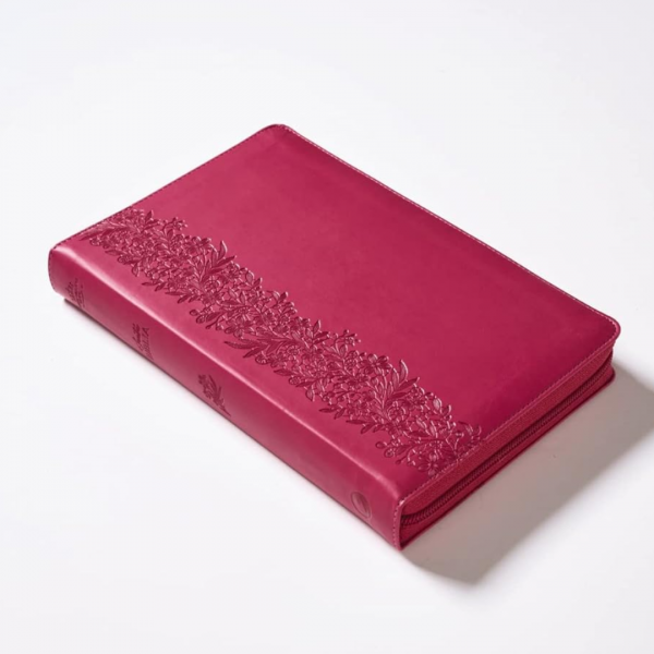 Biblia Tierra Santa - Image 2